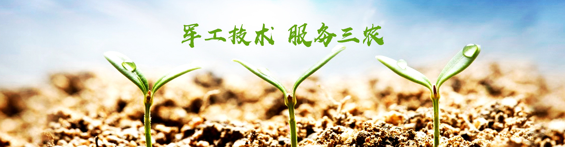 球王会官方入口